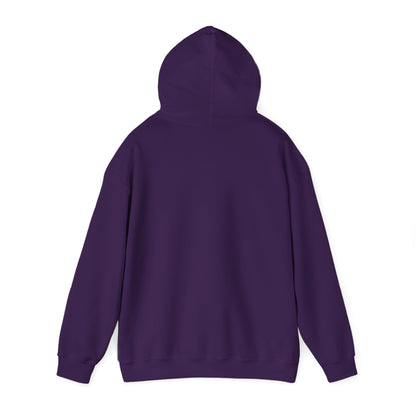 Animosity Hooded Sweatshirt