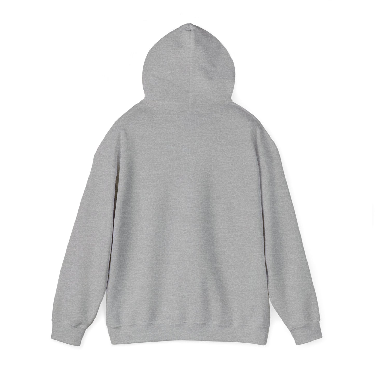 Animosity Hooded Sweatshirt