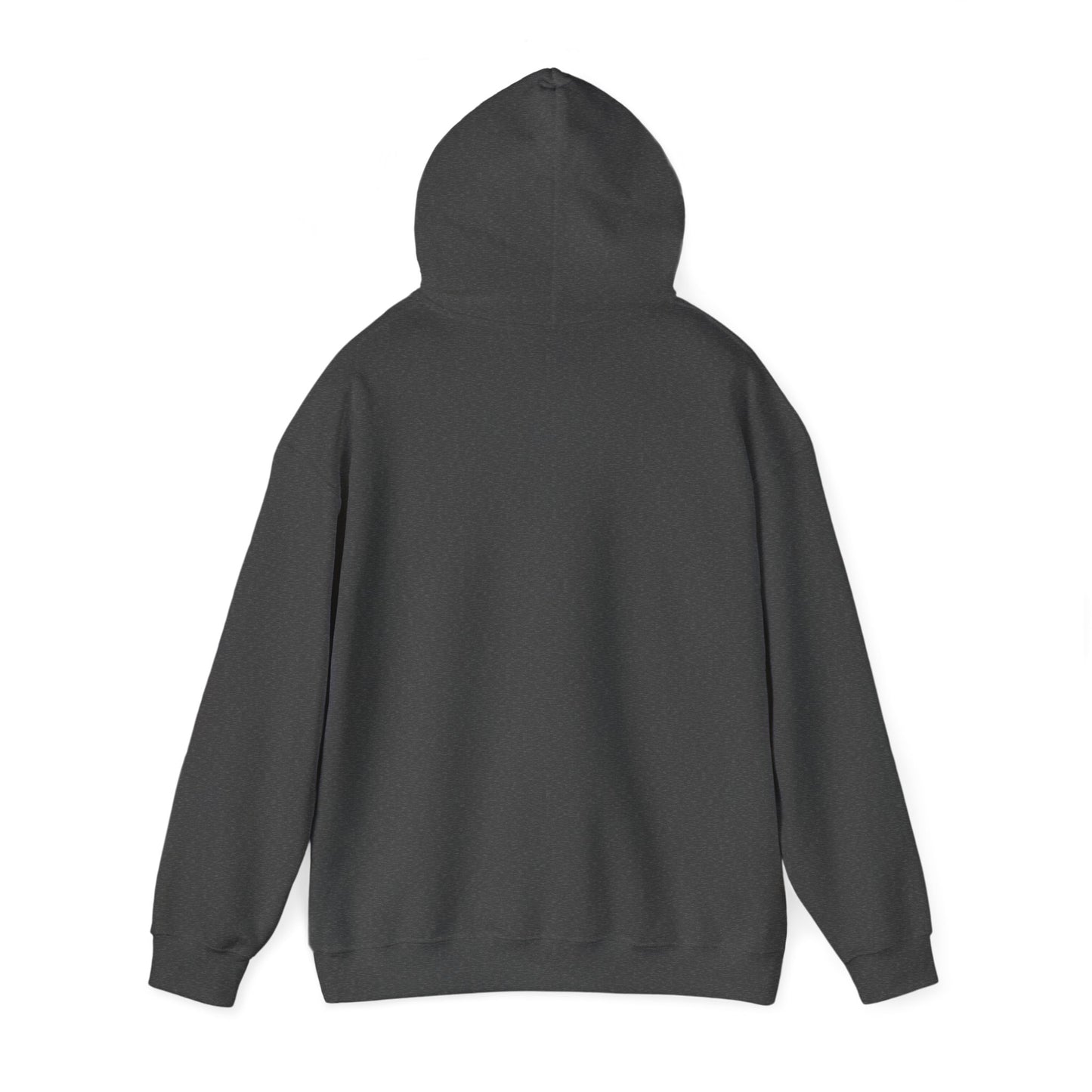 Animosity Hooded Sweatshirt